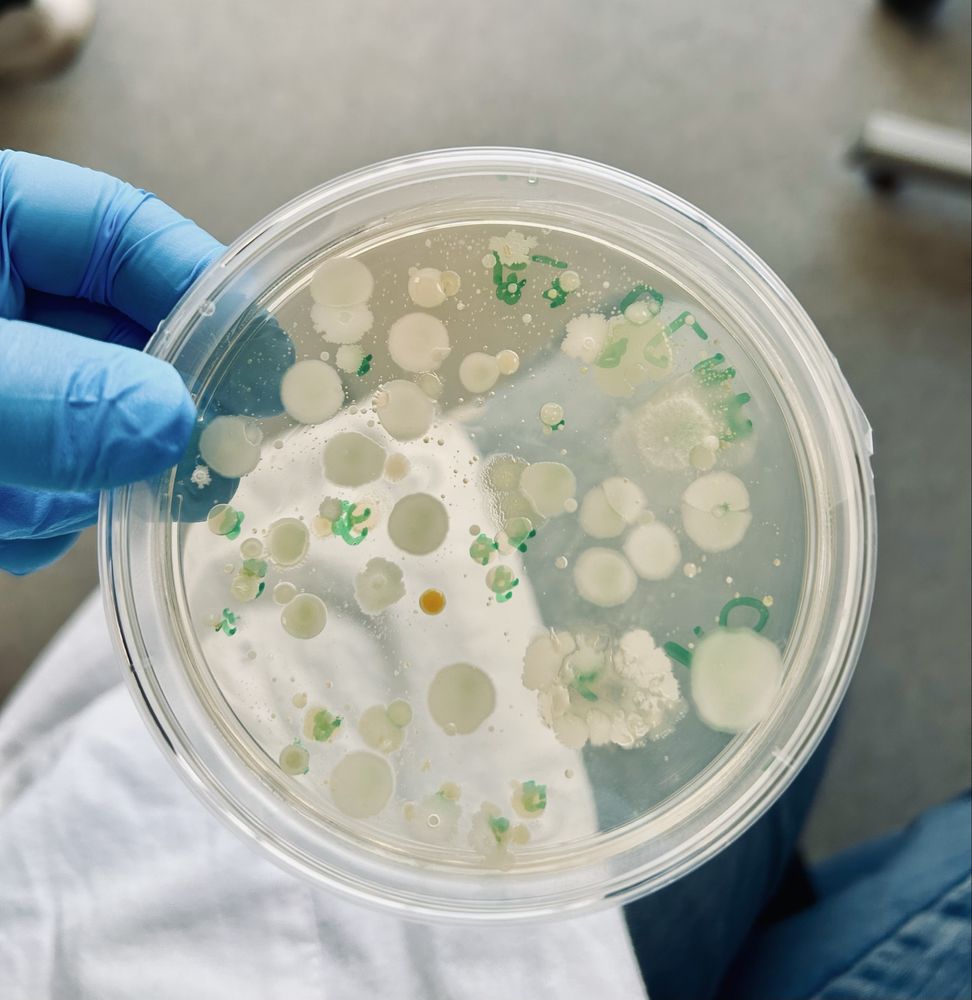 Wakacyjne przygotowanie do matury z biologii - od serca do sukcesu