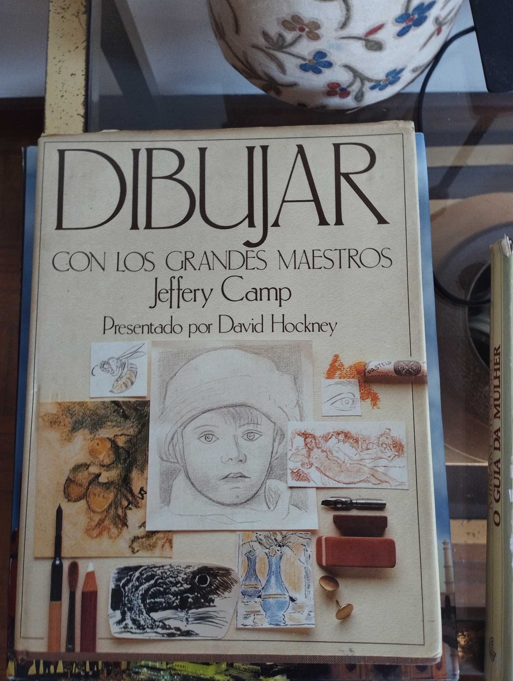 Livros usados de diversos temas
