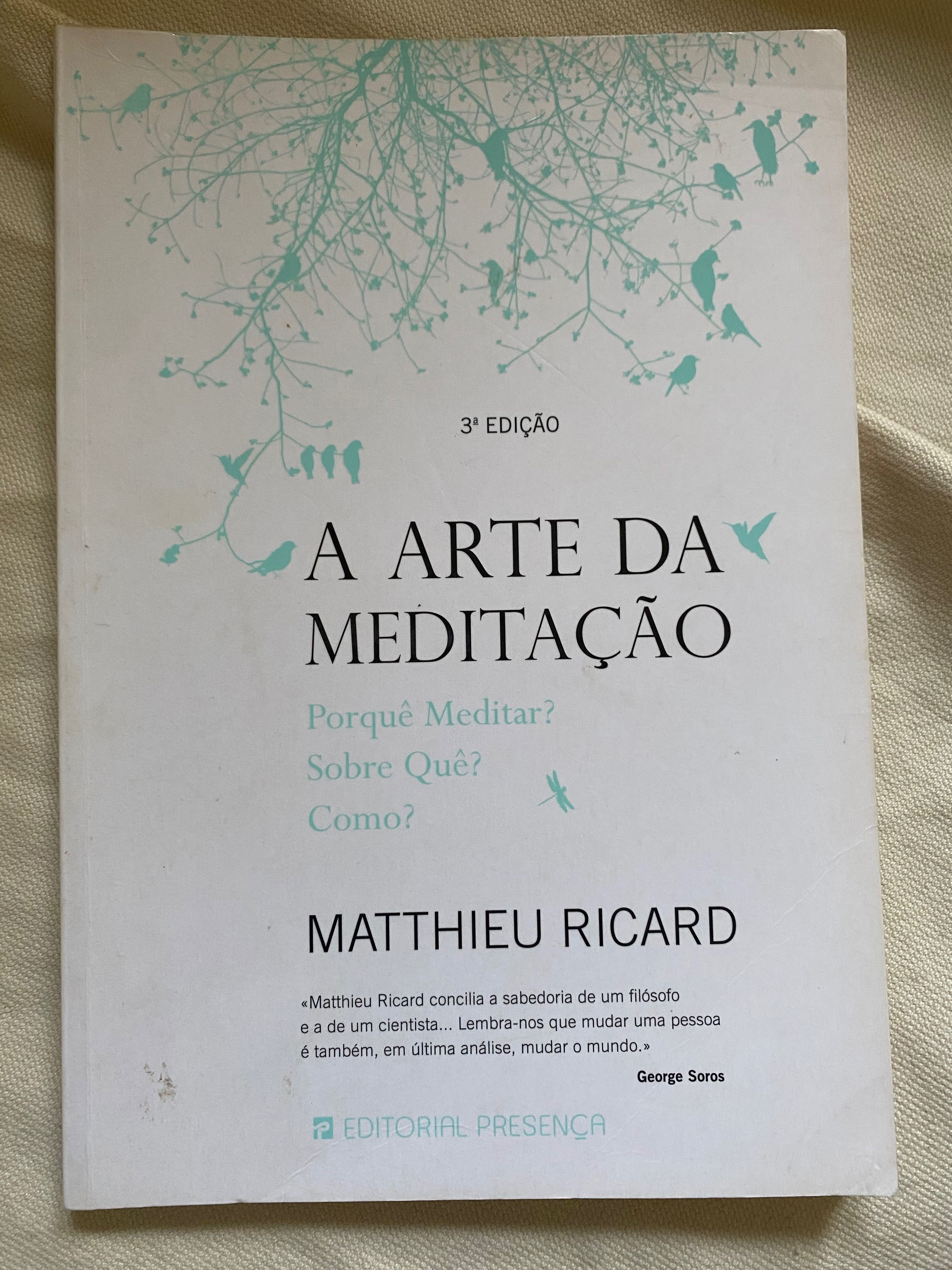 A arte da meditação - Matthieu Ricard