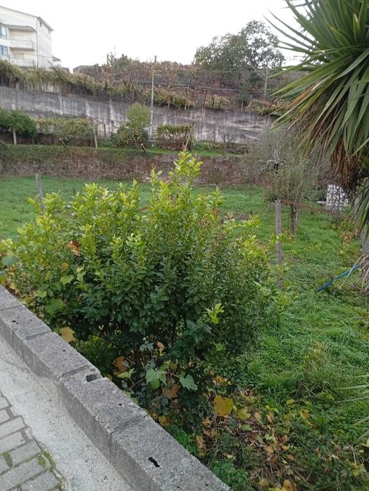 Terreno para construção