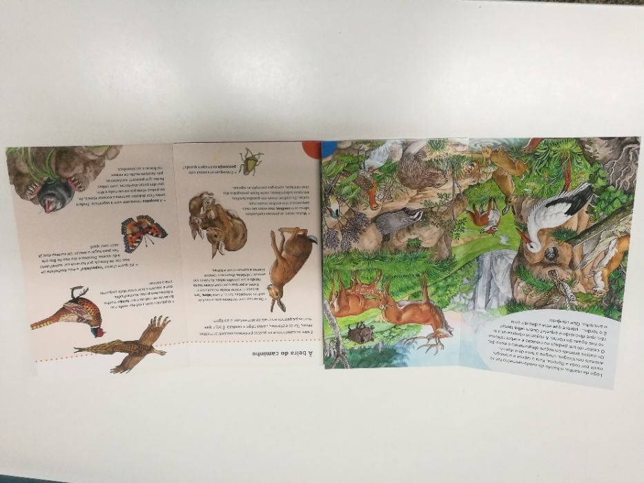 Aventuras de animais - National Geographic