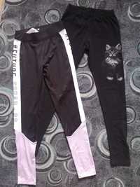 Legginsy 146-152 kotek