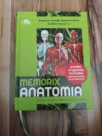 Memorix anatomia