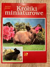 Króliki miniaturowe