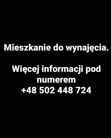 Wynajmę mieszkanie!