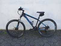 Bicicleta Berg Trail 30