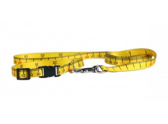 Solidna obroża dla psa z mocnym szyciem - Matteo 20mm/30-55cm Miara