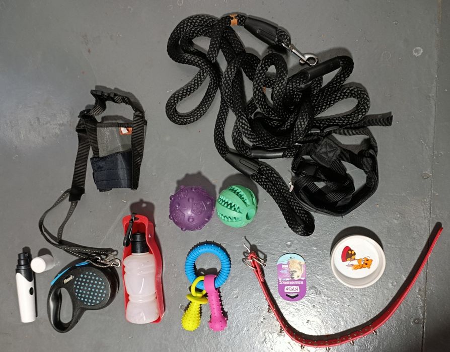 Набір аксесуарів для собак: іграшки, повідки, щітки, поїлка, намордник