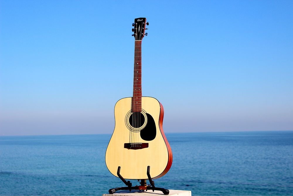 Гитара акустическая Cort 810 чехол RockBag утепленный