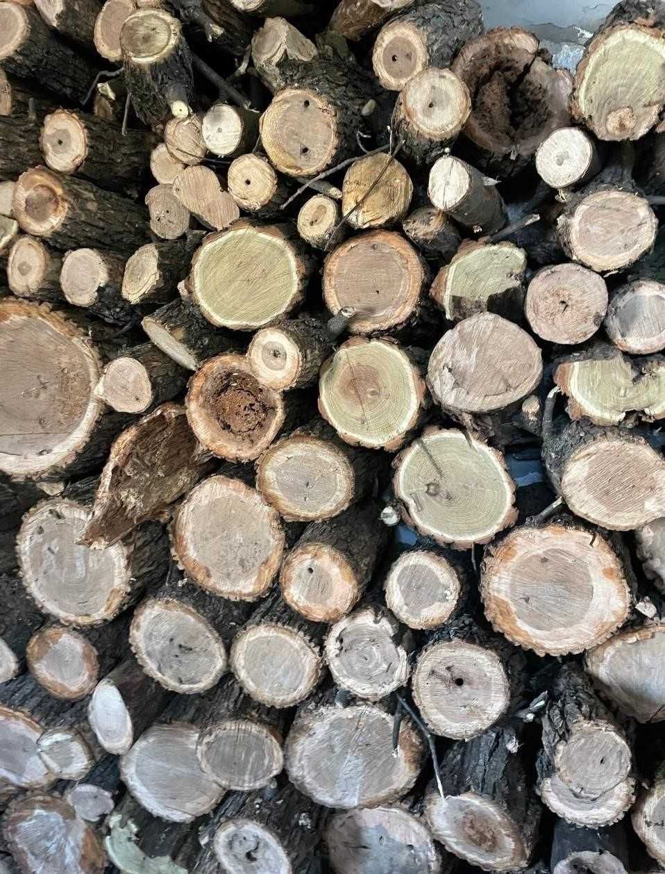 В ПРОДАЖЕ ДРОВА! Берест, Акация, Ясень, Клен, Дуб. Сухие, Колотые!