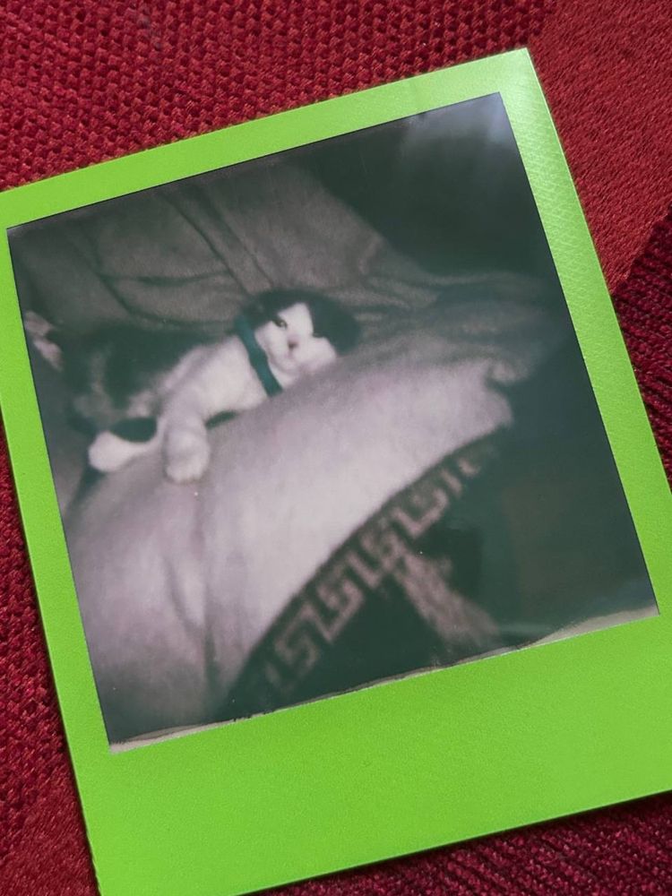 Polaroid impulse