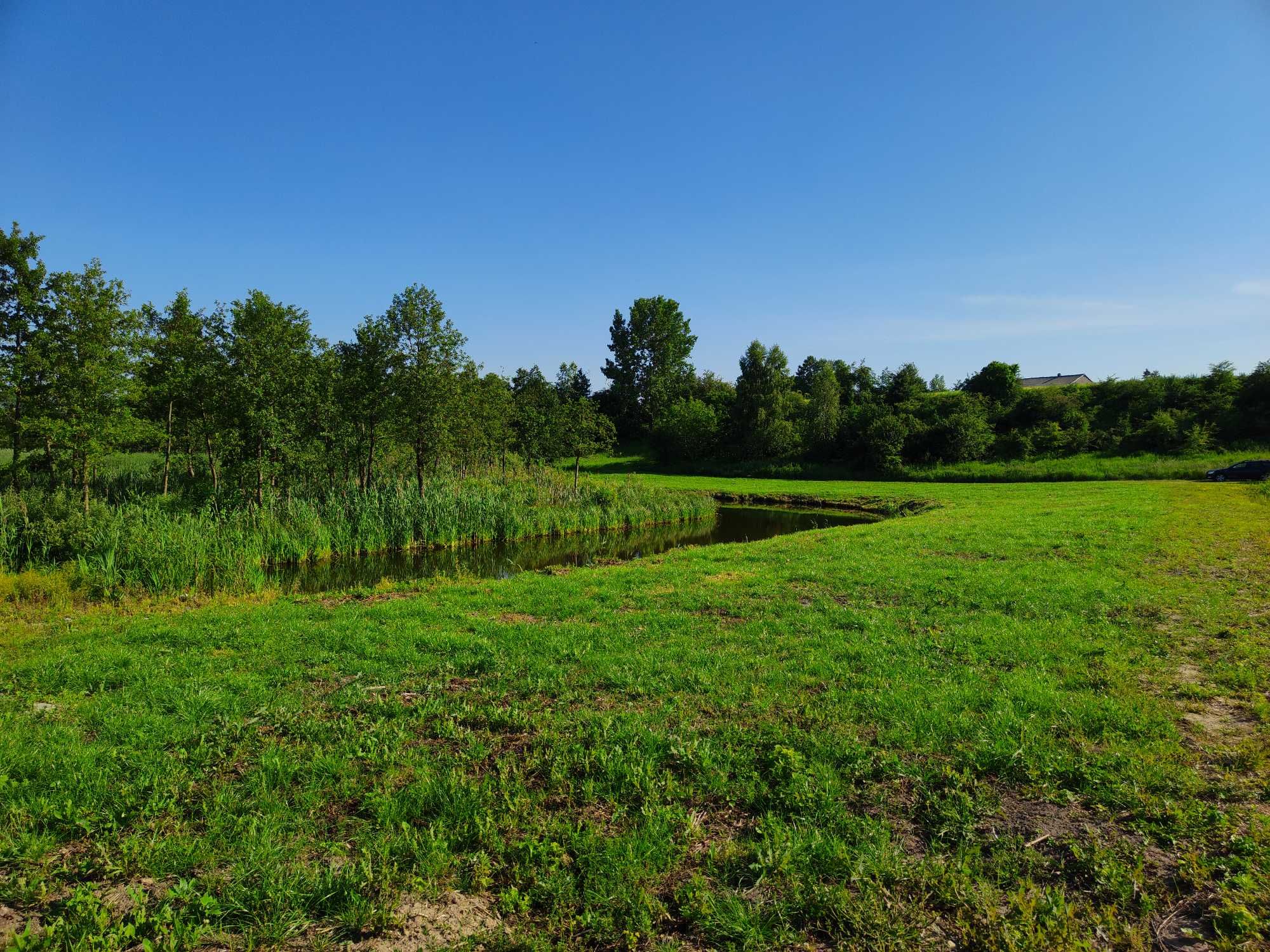Działka 35a z linią brzegową j. Ostrowite Rypińskie