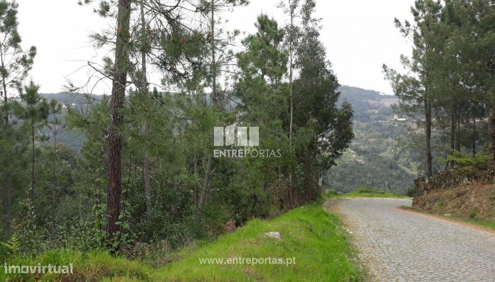 Venda Terreno, Ancede, Baião