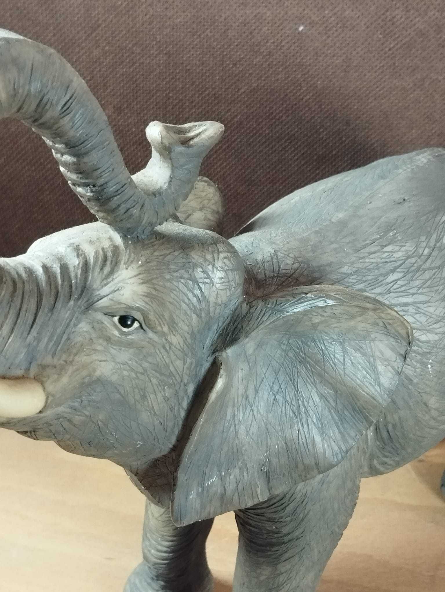 Elefante com Grande Detalhe