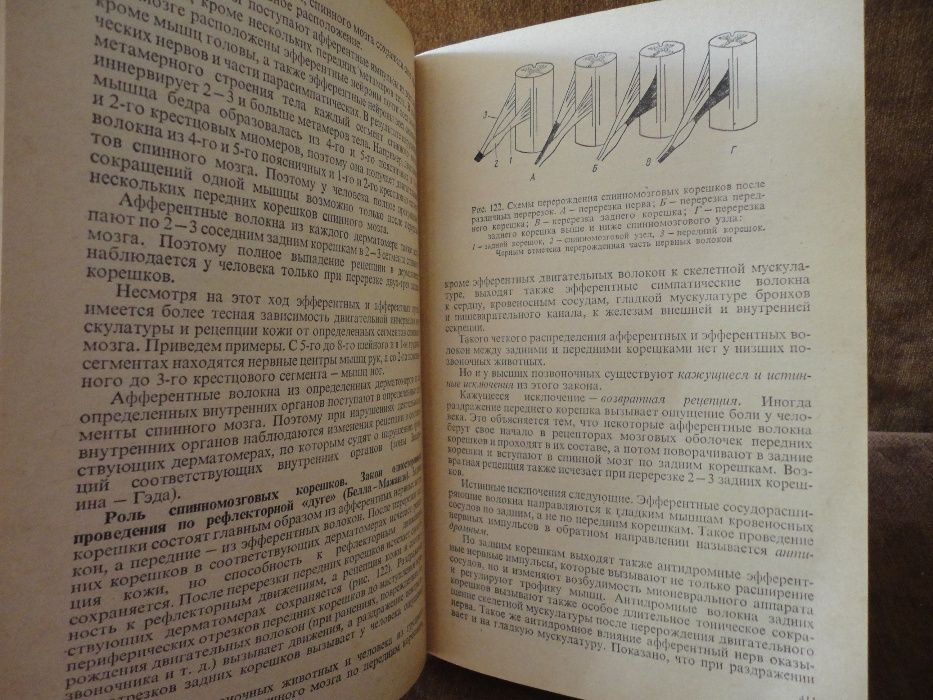 Гальперин С. И. Физиология человека и животных (1977)