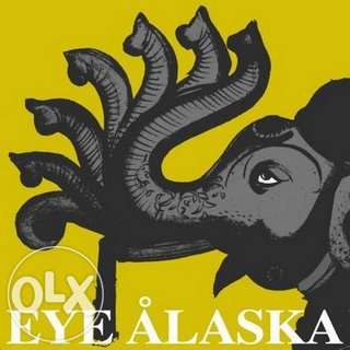 Eye Alaska - Yellow & Elephant