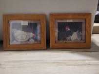 Conjunto de quadros para cozinha