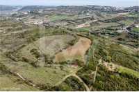 Terreno Arranhó, Arruda dos Vinhos