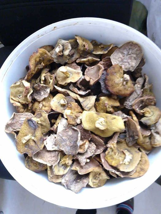 Grzyby suszone, grzyby marynowane, prawdziwek (borowik), podgrzybek