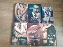Pokusa,Obsesja,Na zawsze,Hudson,Chandler,Bez końca Laurelin Paige