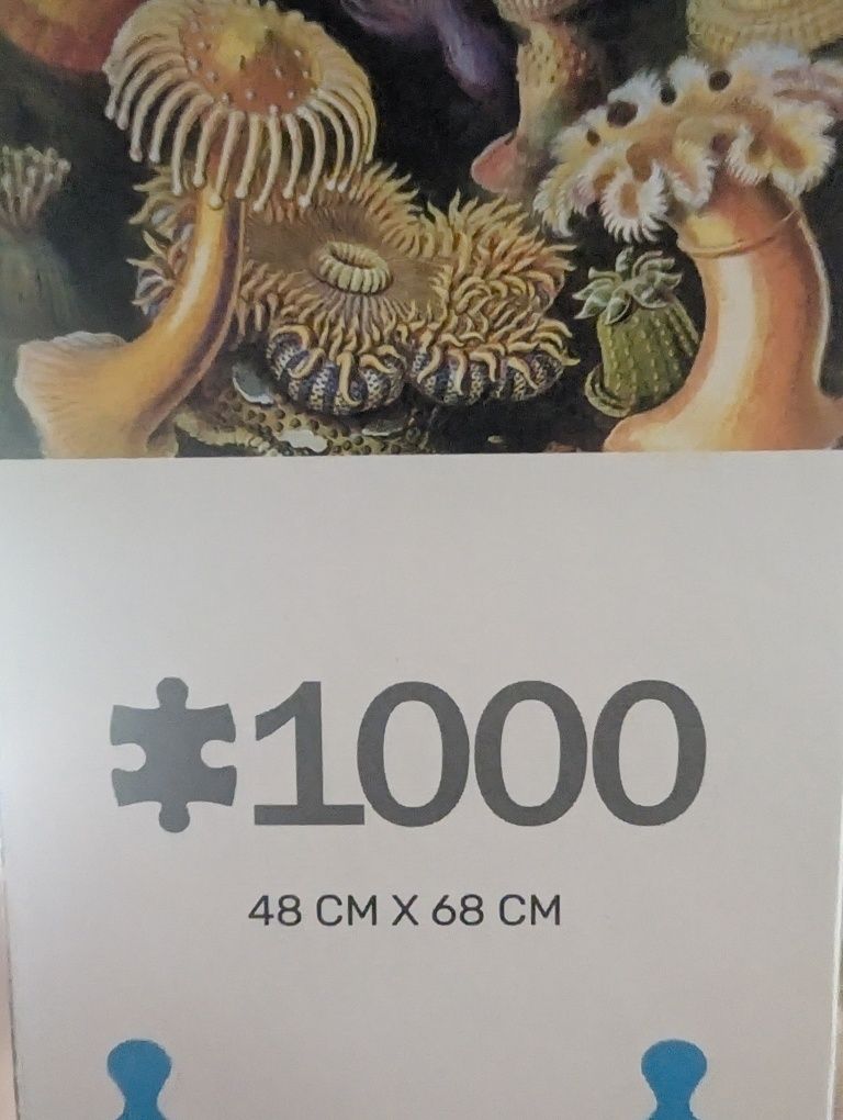 Puzzle 1000 elementów Imagination Ernst Haeckel