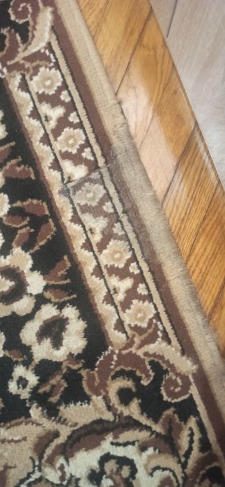 Палас, килим на підлогу