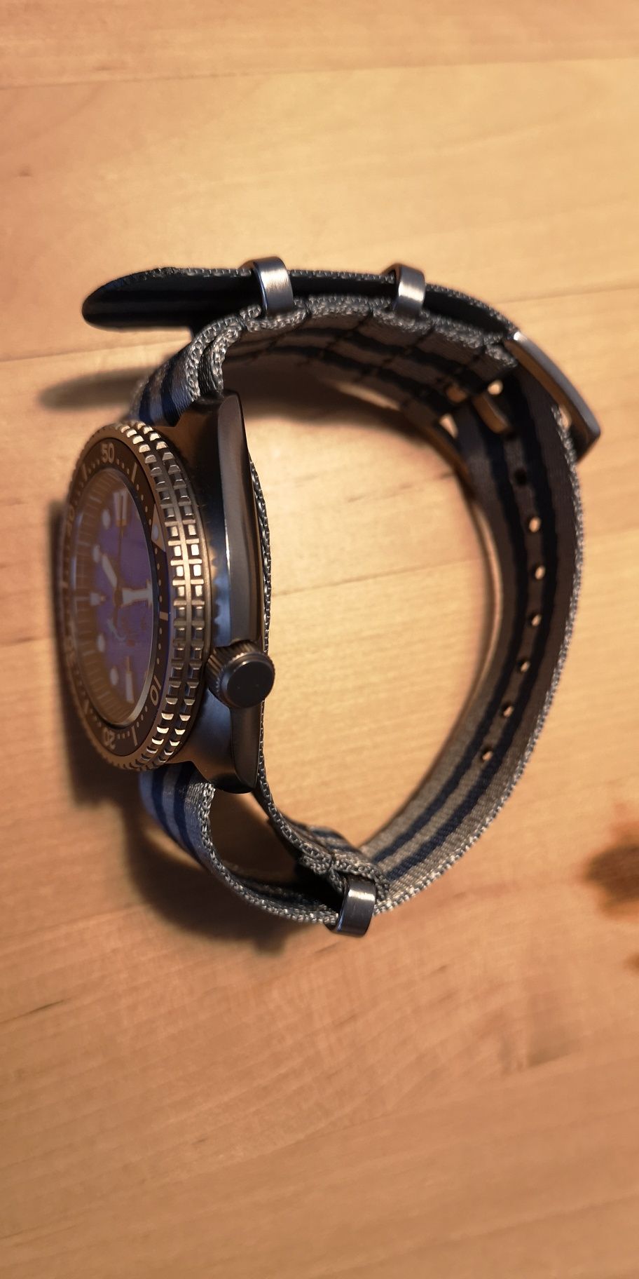 Zegarek custom King Turtle/Manta Ray Save The Ocean/Titanium/Automatic