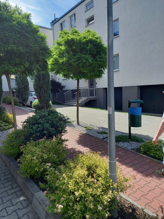 Wynajmę mieszkanie 39 m kw. Panorama, Podkarczówka