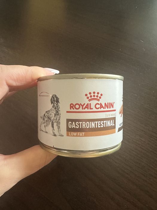 Royal canin gastrointestinal karma weterynaryja dla psów mokra puszka