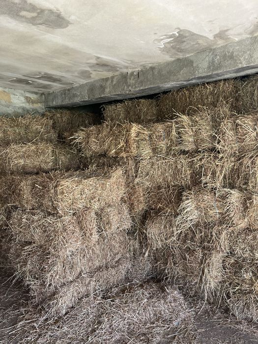 Vendo fardos de feno niscidiço