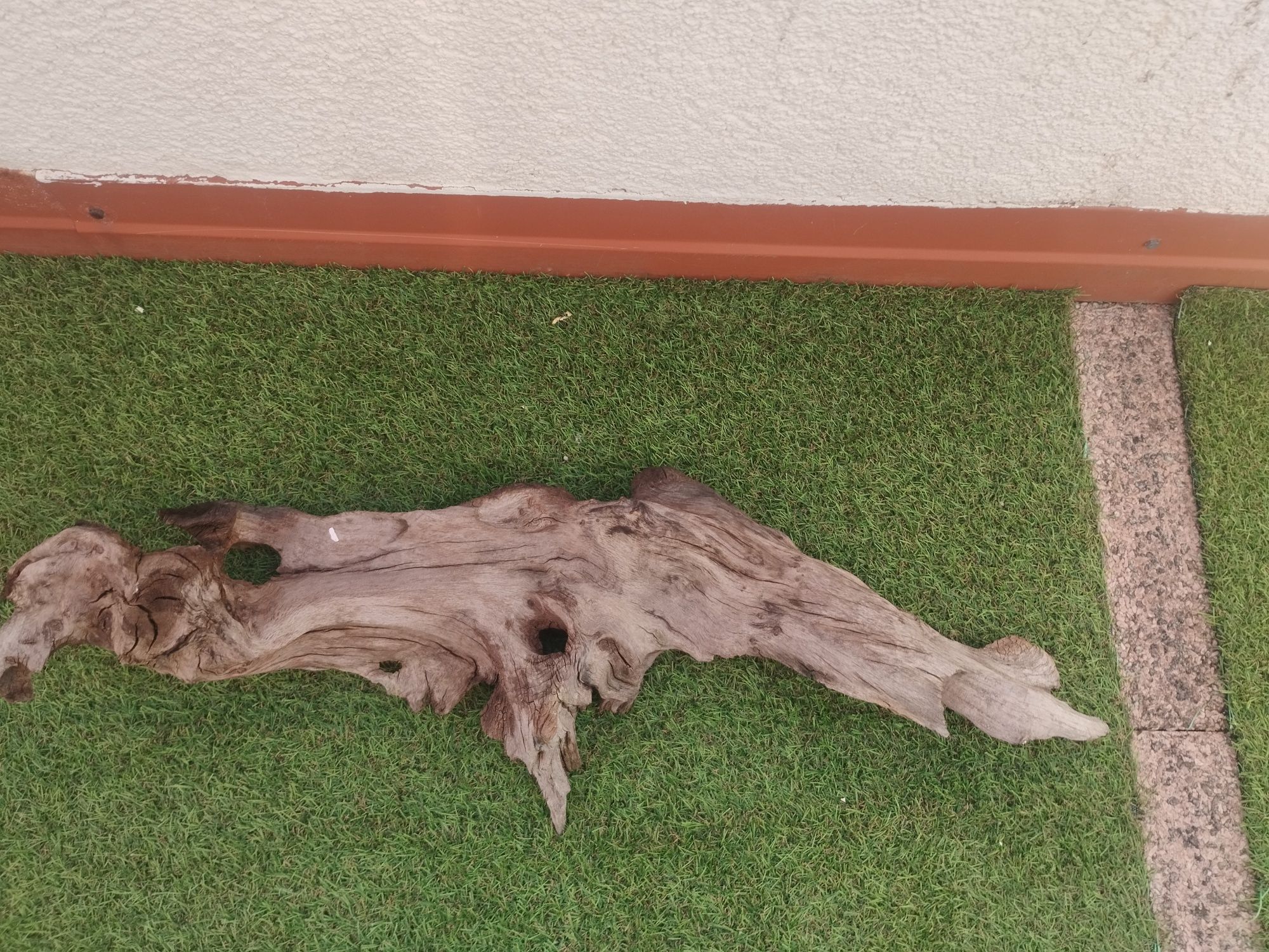 Korzeń do akwarium