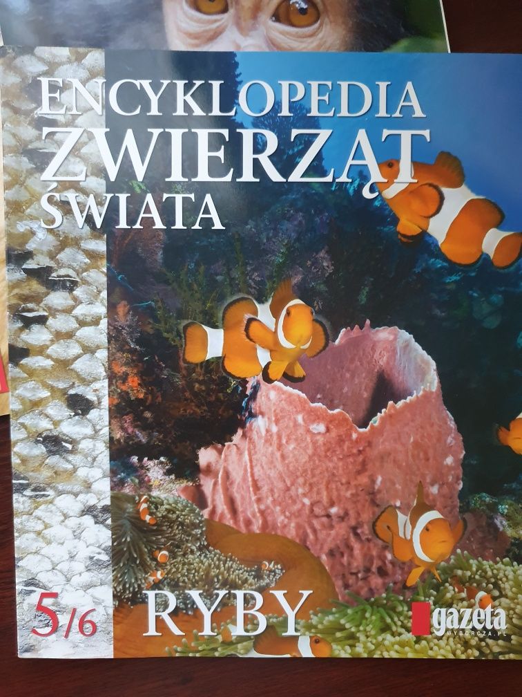 Encyklopedia zwierząt świata