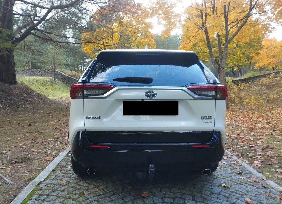 Toyota RAV4 2.5 Plug-In Hybrid Dynamic 4x4 2021  року