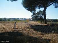 Ref: MJL3235 - Terreno rústico em Foros da Charneca
