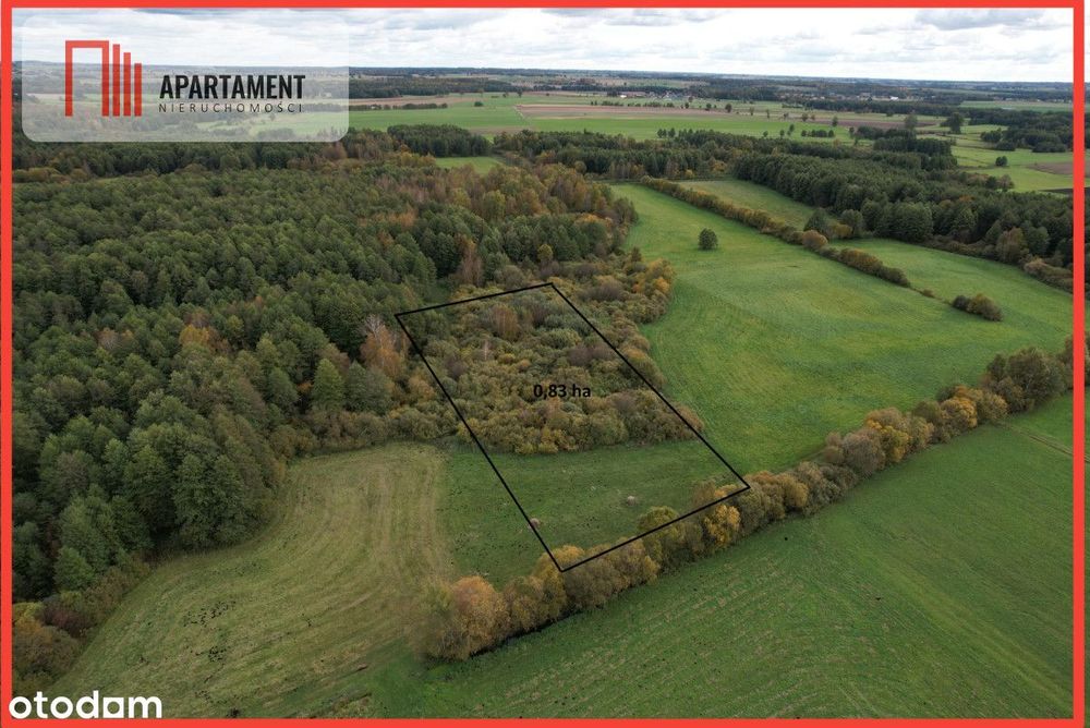 Duża działka, w niskiej cenie! Do negocjacji.