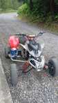 Polaris predator 500
