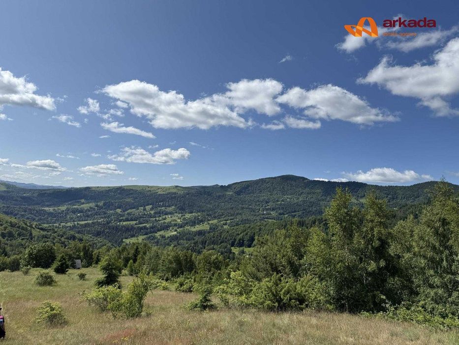 Продаж. Ділянка с.Яворів Косівський район 102 га 
Яворів