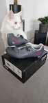 Buty kolarskie szosowe rowerowe northwave storm 2 damskie roz. 40 NOWE