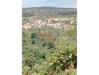 Terreno para venda em Lamego.