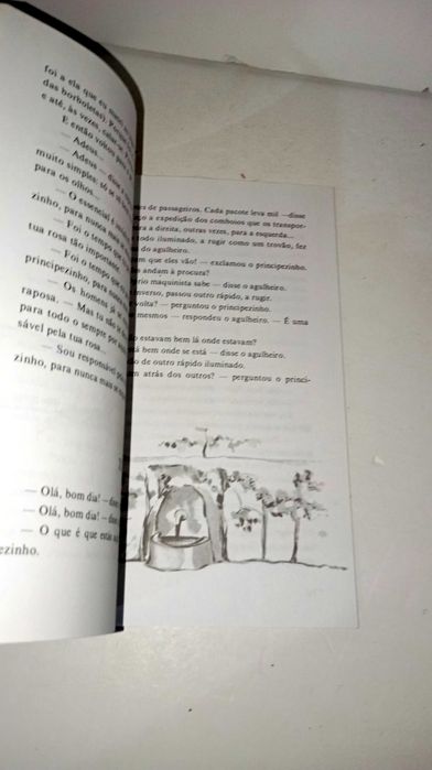 O Principezinho - Antoine de Saint-Exupéry