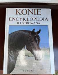 Encyklopedia o koniach