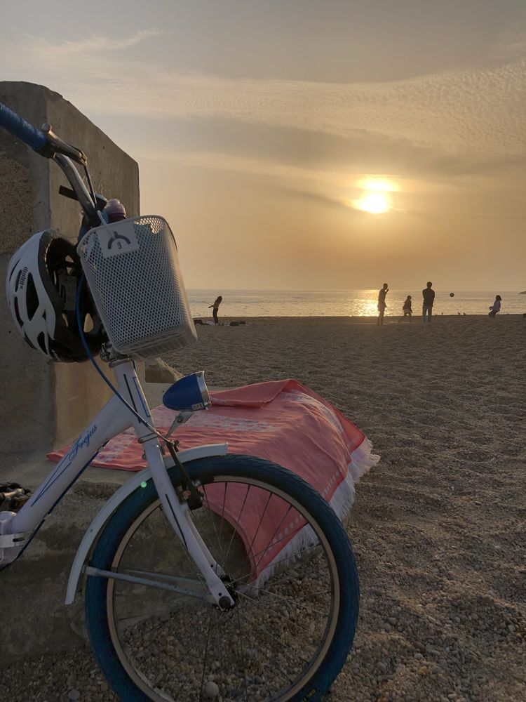 Bicicleta Dobrável