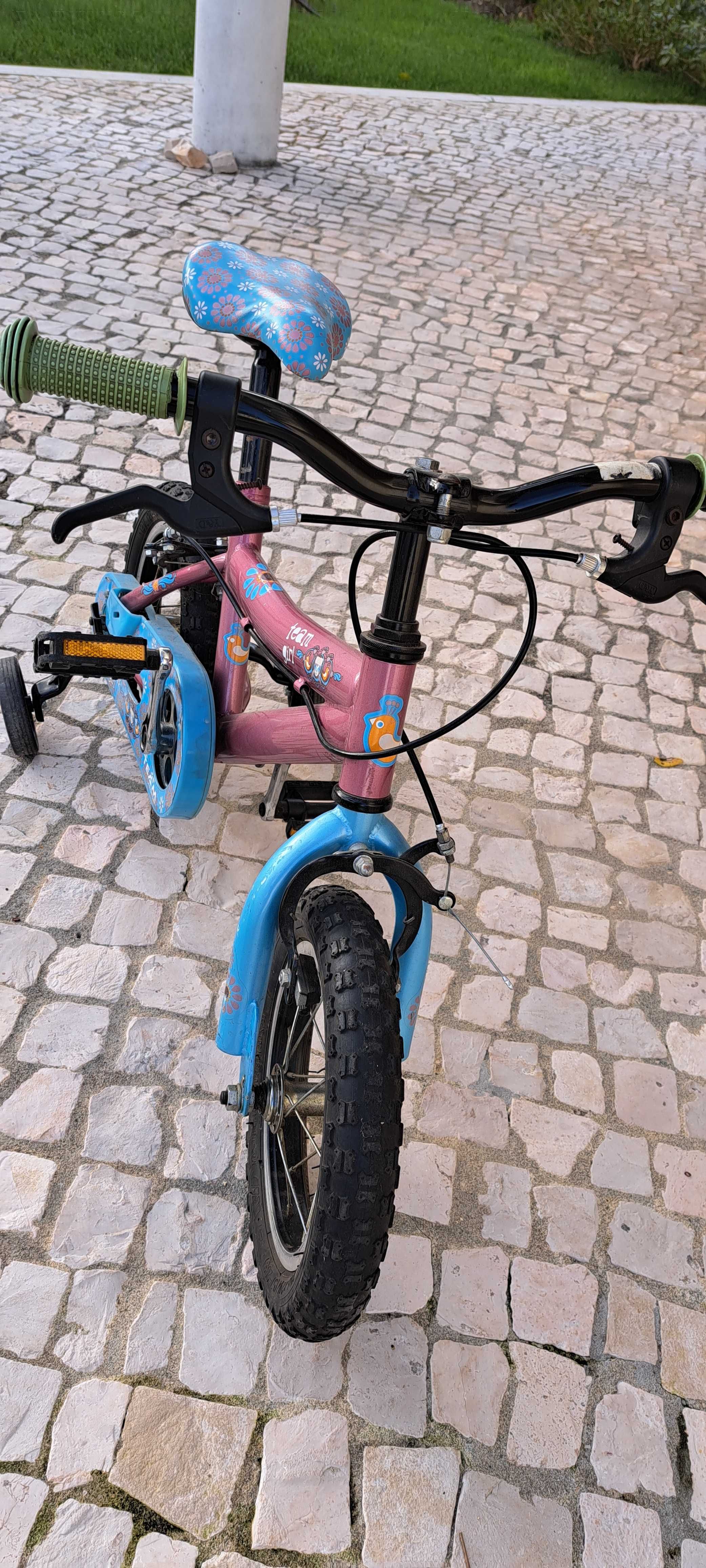 Bicicleta menina 2-6 anos