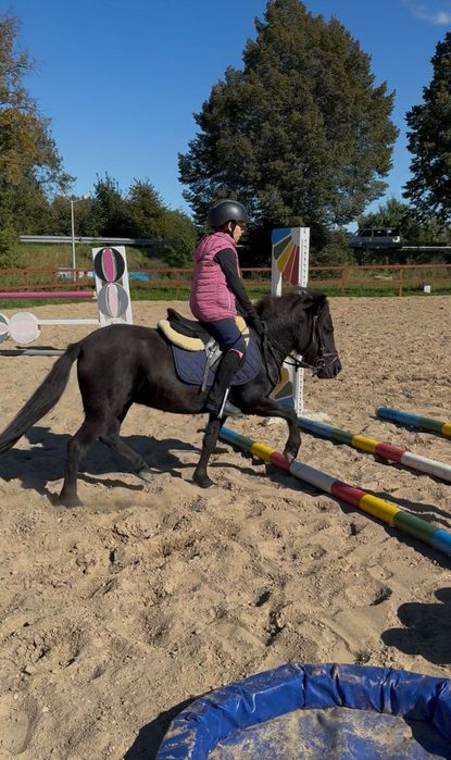 Idealny kucyk dla dzieci!