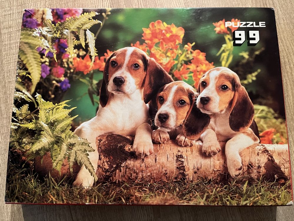 Szczeniaki z mamą (beagle) 99, Księżniczka Zosia dwa obrazki 50 puzzle