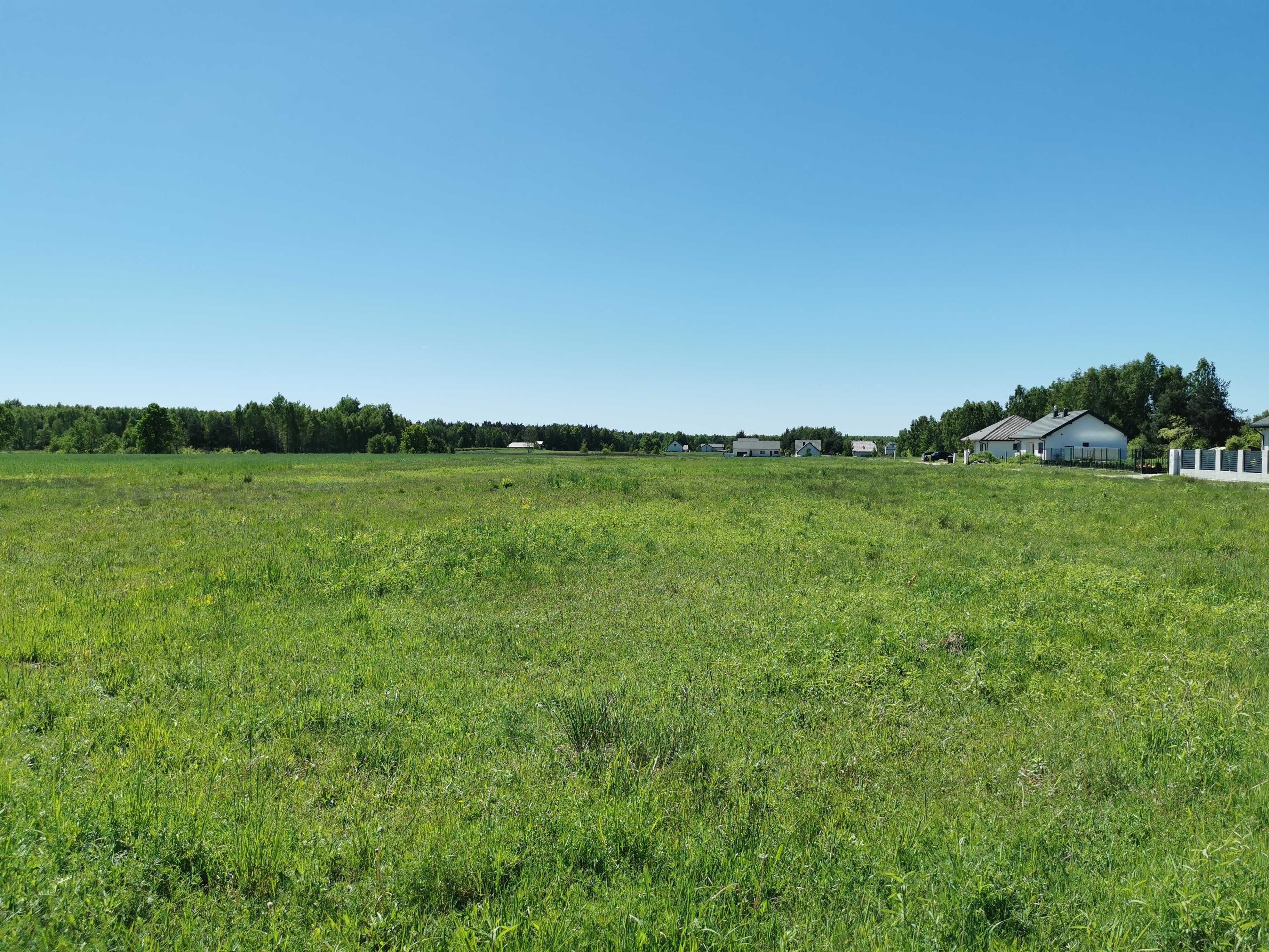 sprzedam działkę 10900 m2, blisko Mińska Mazowieckiego