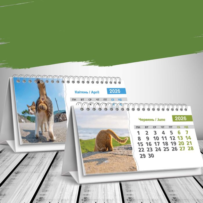 Календар настільний будиночок на 2026 рік - "Кошачі дзвіночки, шаріки"