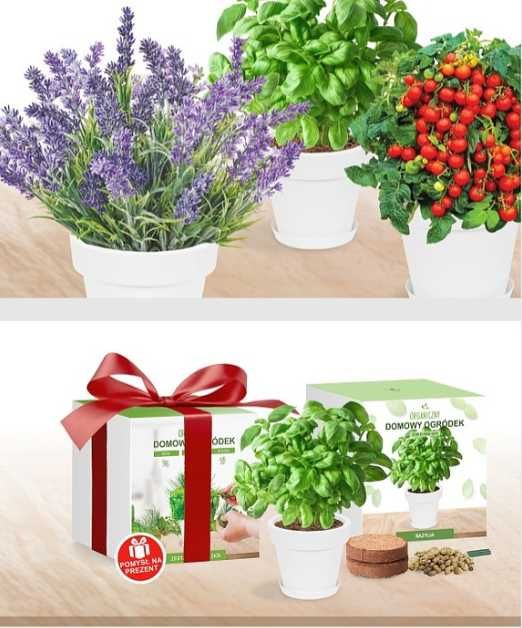 Zestawy do uprawy PREZENT nasiona