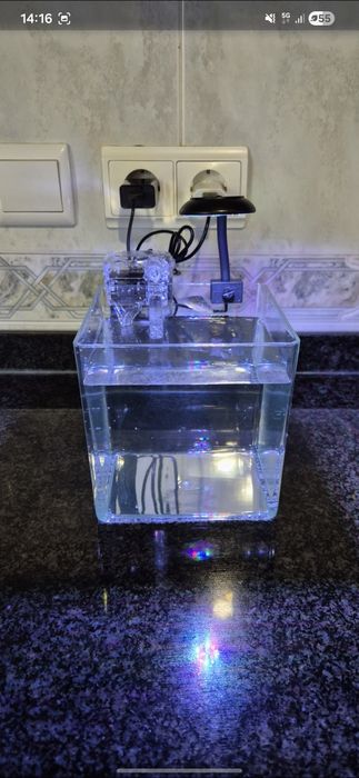 Aquário com filtro e luz