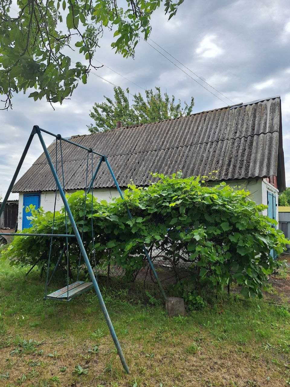 Продам будинок у селі Великі Сорочинці